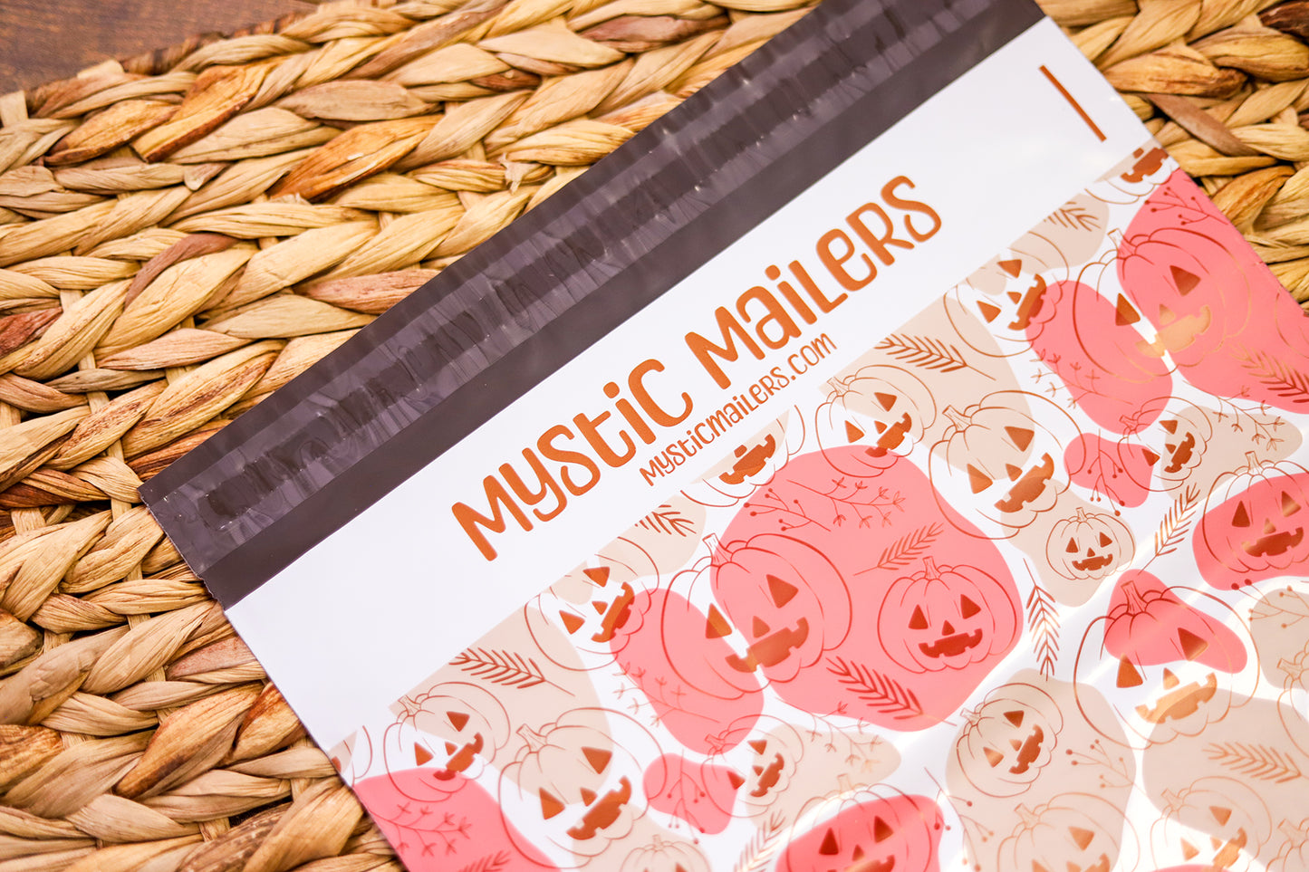 Ashla Poly Mailers